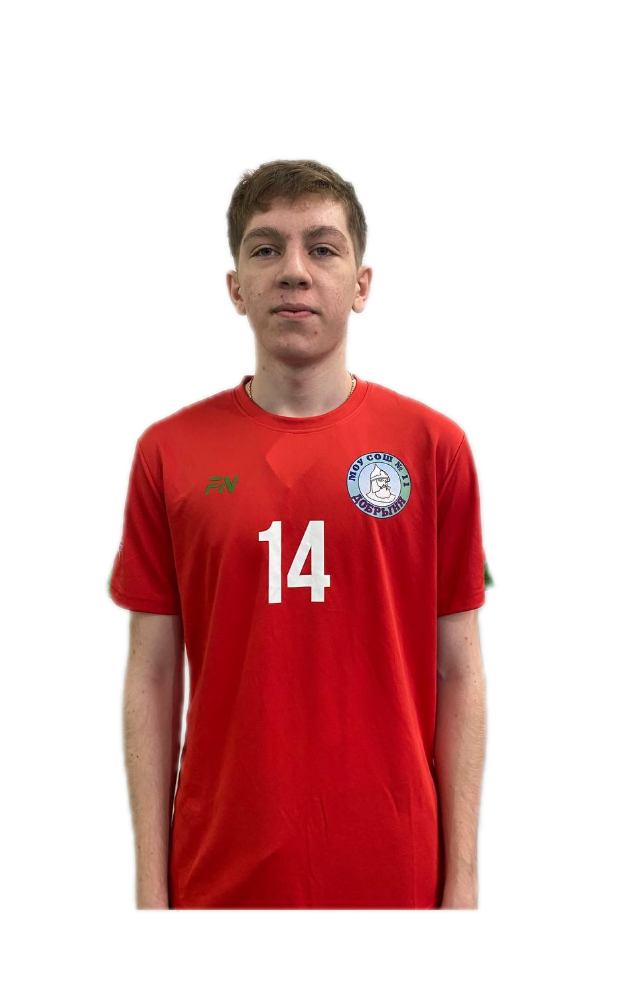 Гынку Тудор Георгиевич